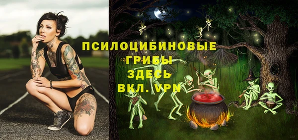 apvp Ростов